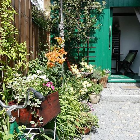 Apartman Horšovský Týn Kültér fotó